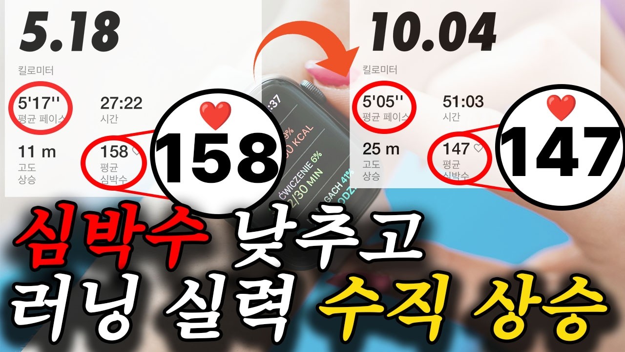 간호사가 알려주는 심박수 낮추는 방법 | 이것을 알기 전과 후로 나뉠 겁니다