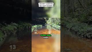Secret Canyon No Map Shows #WollemiPine #HiddenAustralia #RareTree #NatureFacts #NSW #Explore #fyb