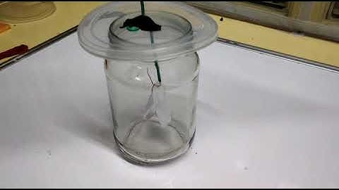 How to make a Simple Electroscope at Home.