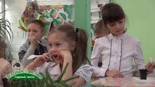 День кактуса, детский клуб Кактусенок, размножение кактусов, посадка День кактуса, детский клуб Кактусенок, размножение кактусов, посадка