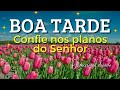 Mensagem de boa tarde | Confie na vontade do Senhor | Devocional diário