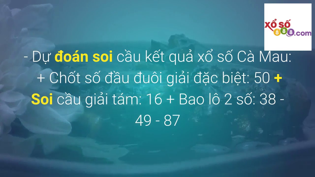 reiko kobayakawa Soi cầu XSCM ngày 12-8-2019 - Dự đoán KQXSCM ngày 12-8-2019 xin số chốt số lô đề - Xoso888-