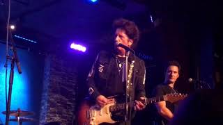 A Hard Rain's A-Gonna Fall / Willie Nile covers Bob Dylan - Live