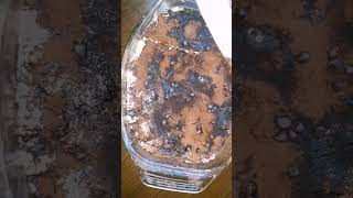 Pratik Tatlı Tarifi I Itarifleri