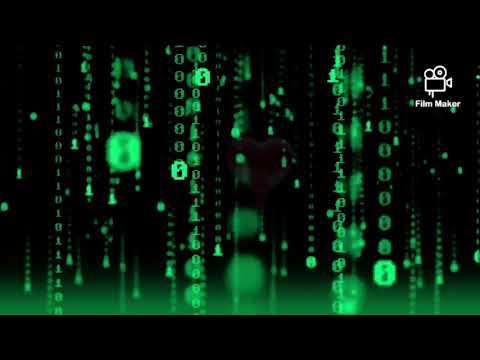 قولي ياحبيبى بصراحه