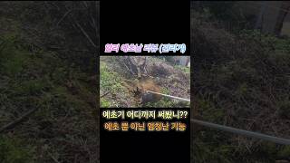알리발 관리기 리뷰