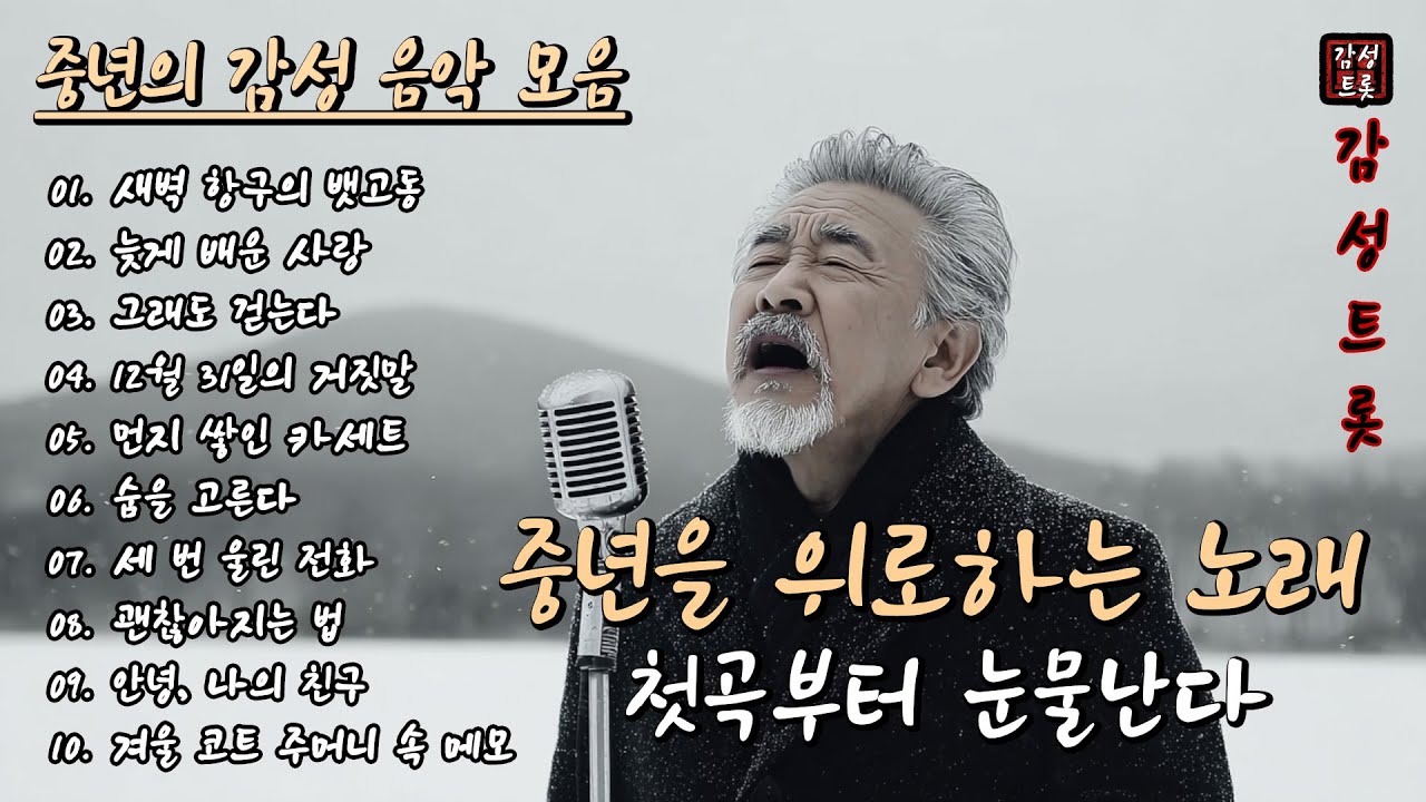 첫곡부터 눈물난다🍂 | 들으면 눈물 나는 중년 감성 트로트 10곡 (3편) 🎵 | 중년을 위로하는 노래 #감성트롯 #중년음악 #7080음악