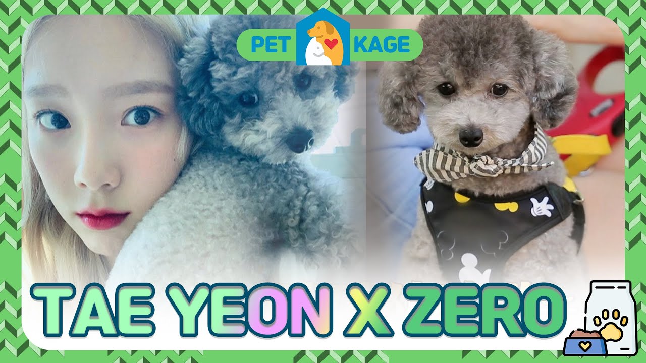 petkage snsd TAEYEON💗Zero сборник 1