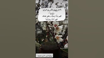 والضحى والليل إذًا سجى ماودعك ربك وماقلى #قران_كريم #قران #quran #القران_الكريم #تلاوات