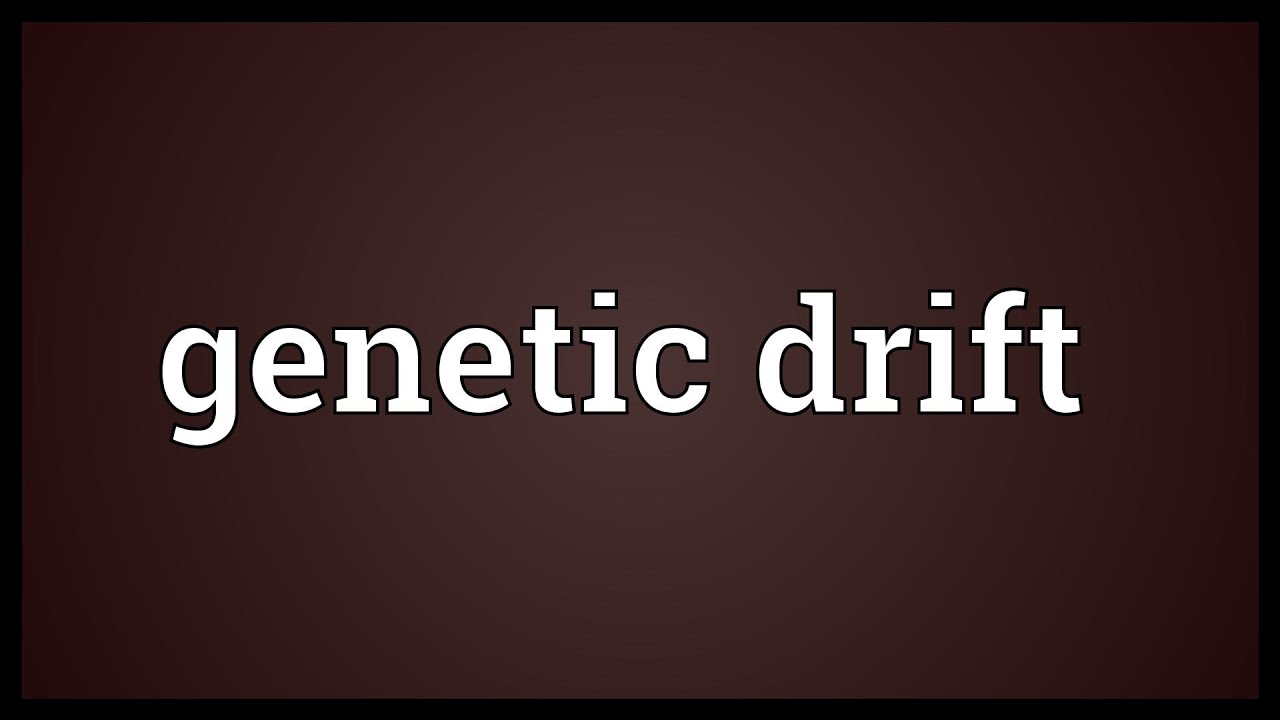 Genetic Drift Meaning YouTube
