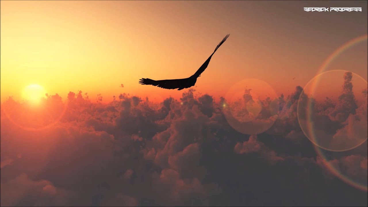 Watch Dimtry Molosh - High (Original Mix) on YouTube Watch Dimtry Molosh - High (Original Mix) on YouTube