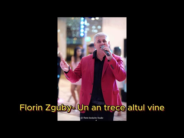 Florin Zguby-Un an trece altul vine class=