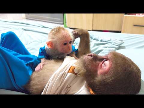 BUEM Stays by CUTIS’ Side When He Has a Stomachache