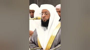 تلاوة مباركة خاشعة بصوت يلامس القلوب #اكسبلور #المصحف #القران #لايك #حالات_واتس #راحة_نفسية #خطبه