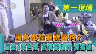 國外都在遛機器狗?這隻4萬台幣 會跳機械舞 懂撒嬌TVBS新聞@TVBSNEWS01