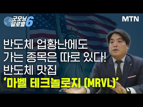 반도체 <strong>맛집</strong> &amp;#39;마벨 테크놀로지(MRVL)&amp;#39; / 머니투데이방송 (<strong>증시</strong>, 증권)
