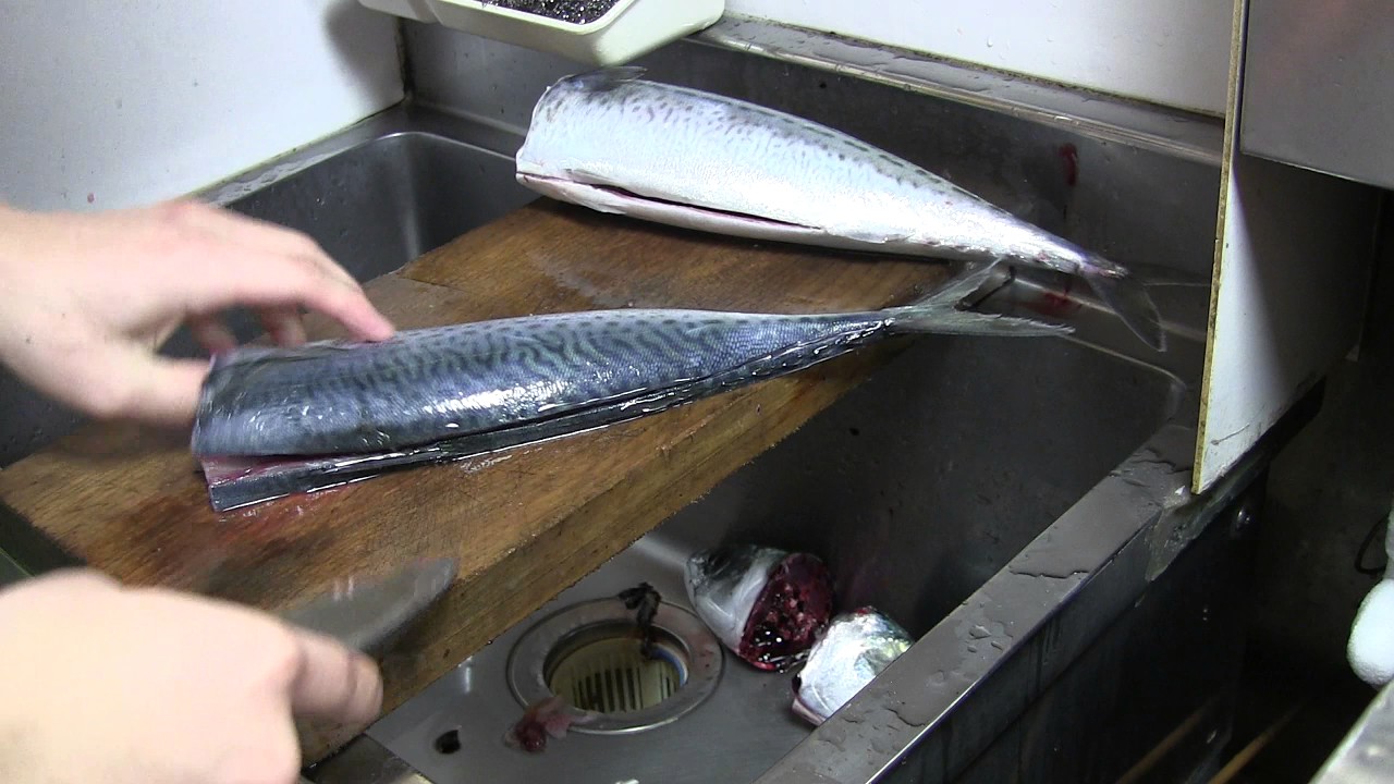 すし職人が淡々と仕込みサバ編　how to fillet a mackerel