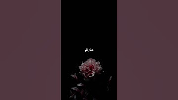 ءآمنا باللهِ واشهد بإنا مسلمون - القارئ : احمد النفيس - آل عمران