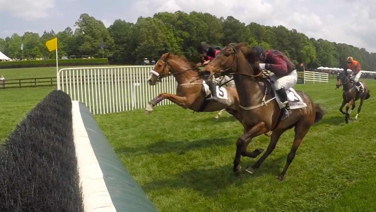 Queen's Cup Steeplechase "Fence Cam"