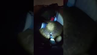 Missing Child Found Alive! #bodycam #firefighter #kids #rescue #missing #hero #emergency