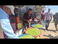 ثمار الزيتون في أكشاك بعد تجريف السوق وتدمير مساحات واسعة من الأراضي في خان يونس جنوب قطاع غزة