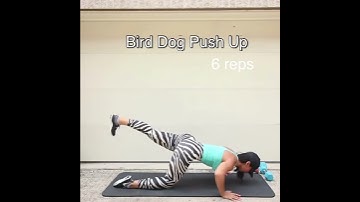 Bird Dog Push Up