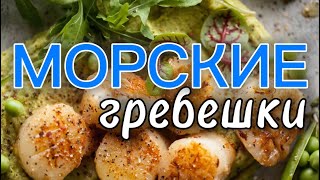 Морские гребешки (scallops) - максимально легко и вкусно!