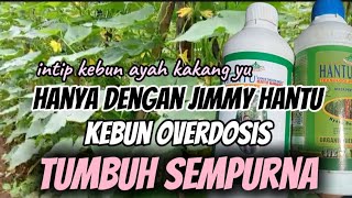 Download Lagu Shocking. Jimmy the ghost is able to restore the overdosed garden MP3