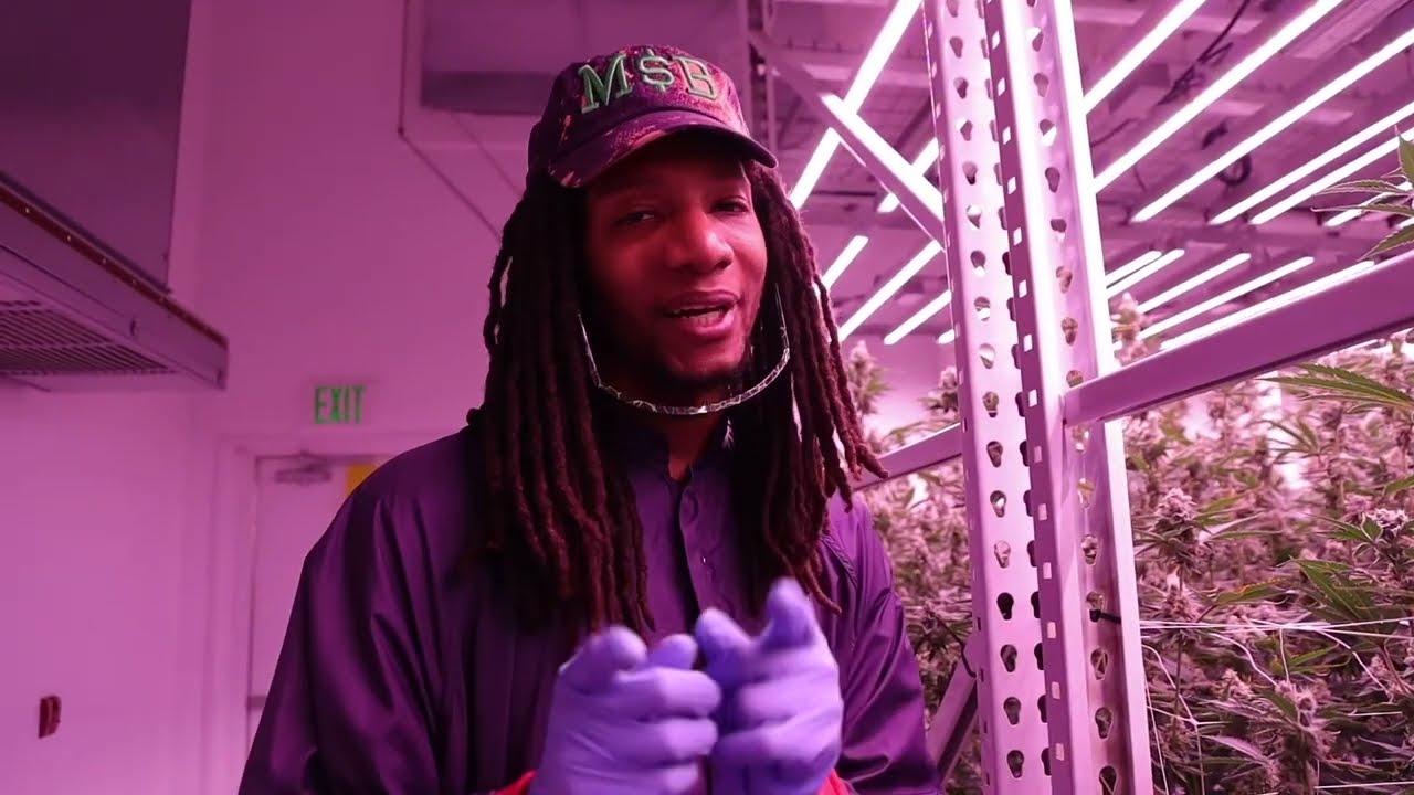 Tours With $Lim: Six Labs