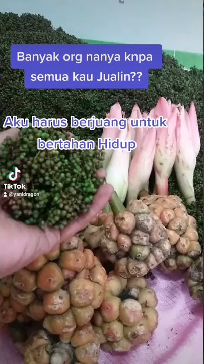 PARTIGA TIGA ANDALIMAN RAYA