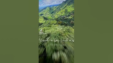 #بسم_الله_الرحمن_الرحيم #قرآن #آيات #اكسبلور #دويتو #لايك #ترند