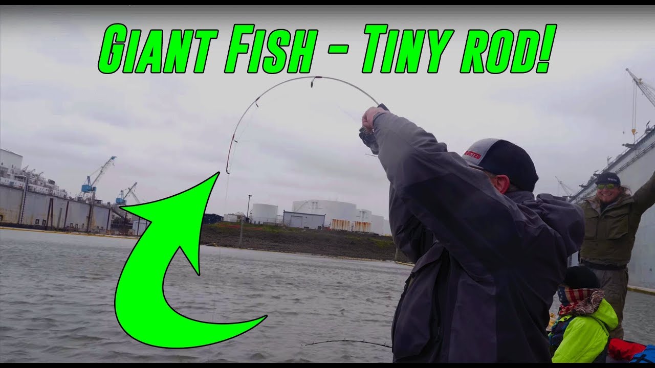 GIANT Fish On TINY Little Fishing Rod!