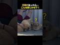 天国があったら···こんな感じかな？！