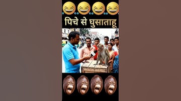 Ai Monkey Vlog #aivideo #aimonkeyvideo #Monkeyvlog #funny #shorts #youtube #ai #veo3 #vlog