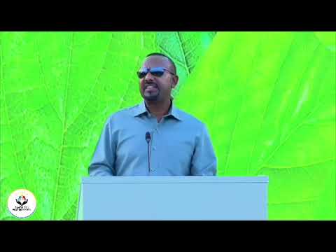 ባለፉት አመታት 48 ቢሊዮን ችግኞች ተተክተዋል በዚህ አመትና በሚቀጥለው አመት የምንተክለው ተደምሮ 65 ቢሊዮን ለመድረስ እቅድ አለን ።