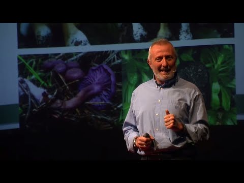 Redes Ocultas del Camino: Biodiversidad oculta | Arsenio Terrón Alfonso | TEDxUniLeón