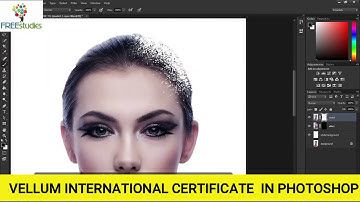VELLUM INTERNATIONAL CERTIFICATE IN PHOTOSHOP