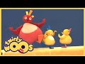 趣趣知知鸟 Twirlywoos 平衡 系列1 第38集 儿童视频 适合幼儿的视频 趣趣知知鸟 Twirlywoos 平衡 系列1 第38集 儿童视频 适合幼儿的视频