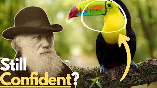 What School Won't Teach You About Evolution(Atheists Must Watch!)