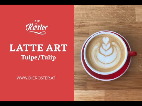 Video: Wit Vrot Tulpe