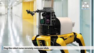 Doglike Robot Nurse Remotely Measures Vitals