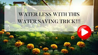 Transform Your Garden This Summer with This Water-Saving Trick! by Auyanna Plants 670 views 2 weeks ago 13 minutes, 29 seconds