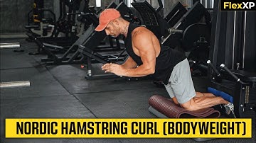 Nordic Hamstring Curl Bodyweight Form & Tutorial Guide (30 Seconds) - FlexXP
