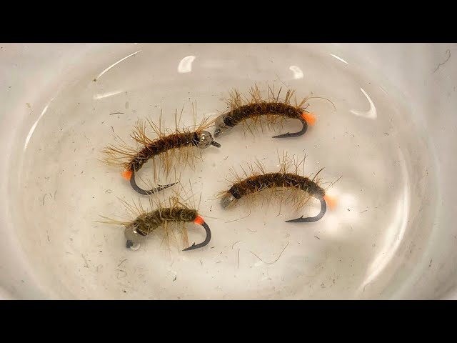 Dogistonlik ayollar Moskvada qanday sikishdi