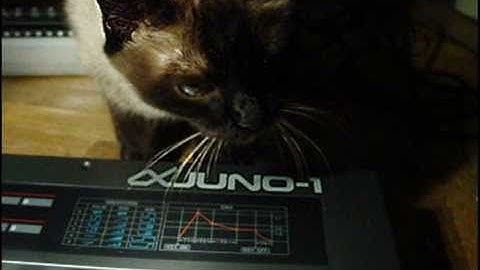 Roland Alpha Juno1 & tr-606  "sanxion" Commodore 64 demo by polynominal.com