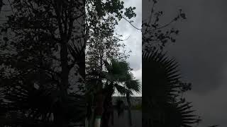 Weather updates #Sambrial #NA74 #punjab #pakistan #beautiful #weather #coolbreeze #view #viral #duet