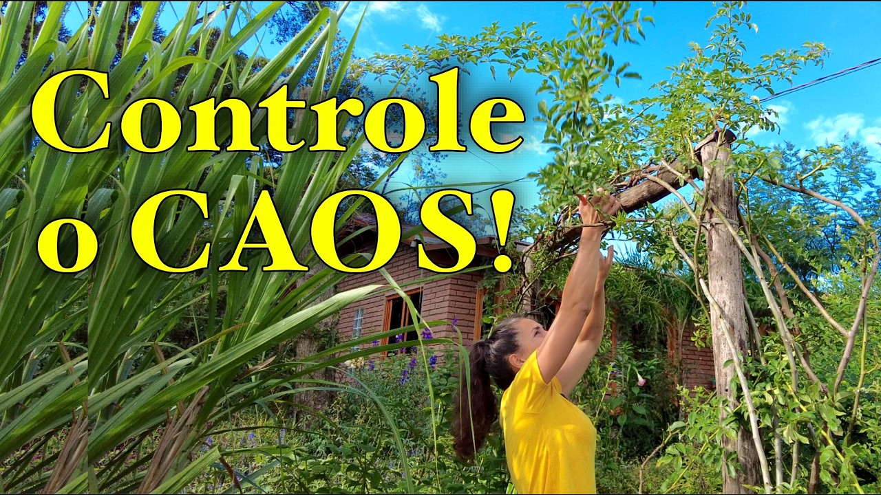 Poda de Roseiras & Uvaia & Mariposera Rosa