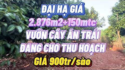 ( Đã bán) Ngân hàng xiết quá đành bán đất vườn trái cây 2.876m2+150mtc giá 900tr/sào