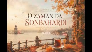 O Zaman Da Sonbahardi - Anatolian Rock Cover - N3Fis Müzik