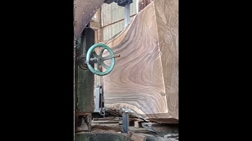 Proses gergaji kayu trembesi bahan meja teras serat mewah I Sawmill  #american  #gergajisawmill